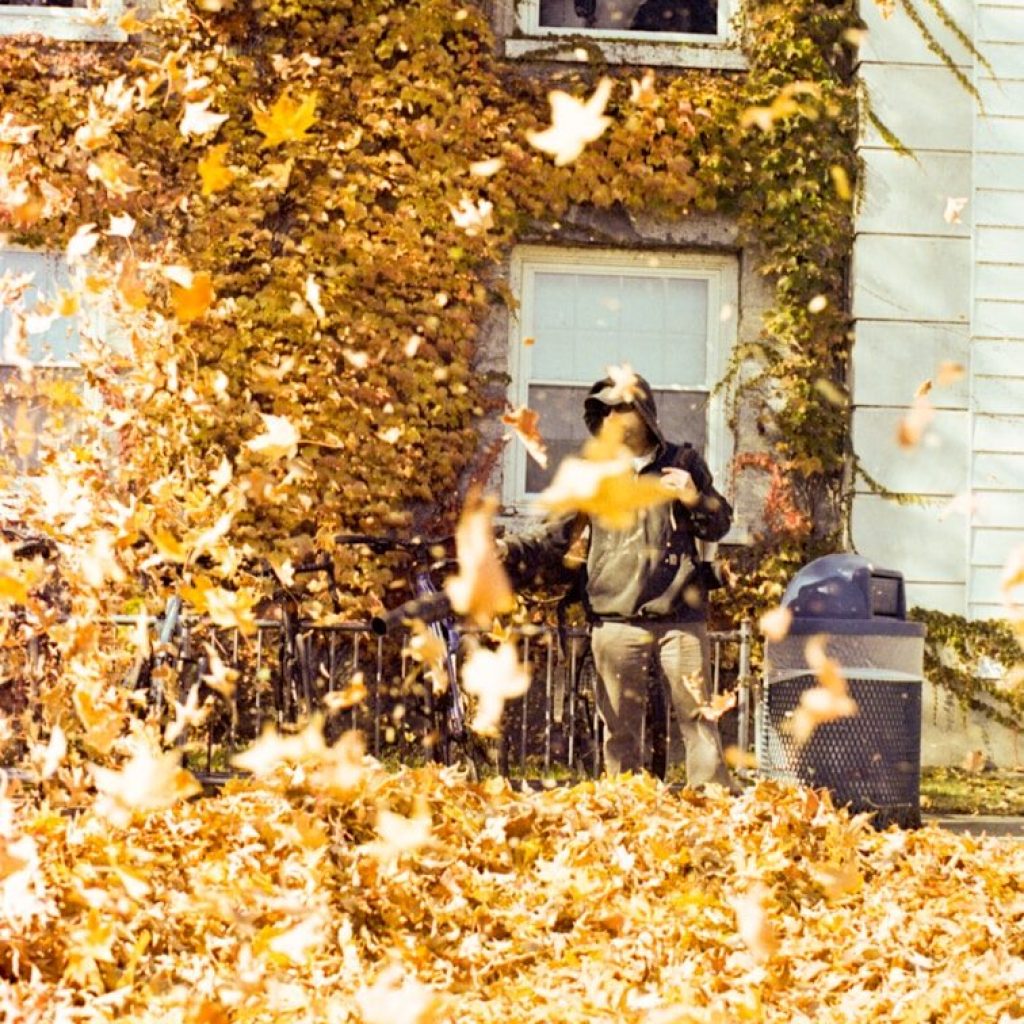 Person raking leaves in front of a building during autumn.